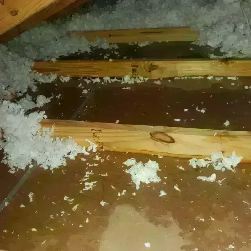 Attic Water Damage in Edgemere, NY